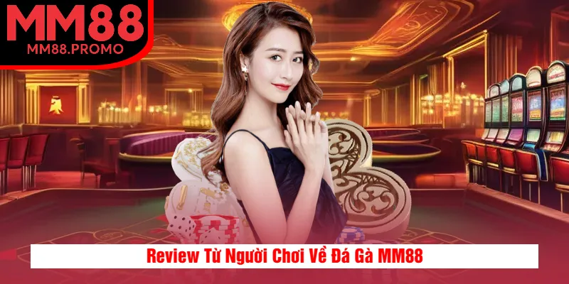Review Từ Người Chơi Về Đá Gà MM88